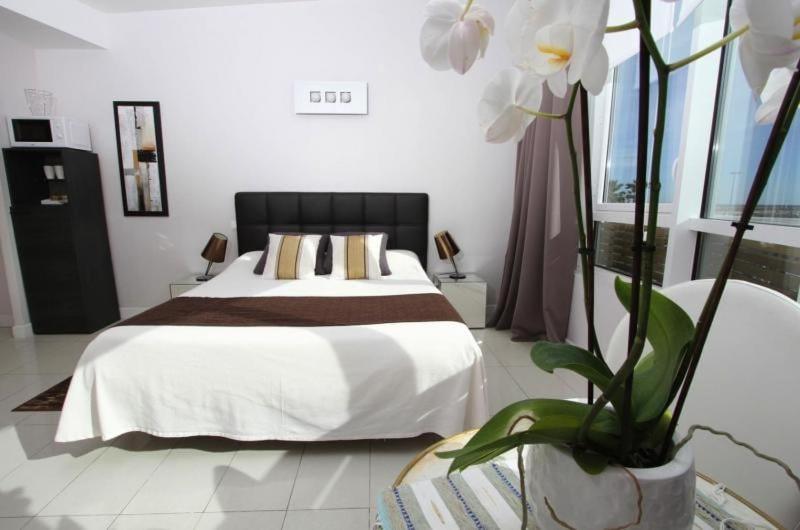 Bleu Mer Duplex & Suites Saint-Cyprien Kültér fotó